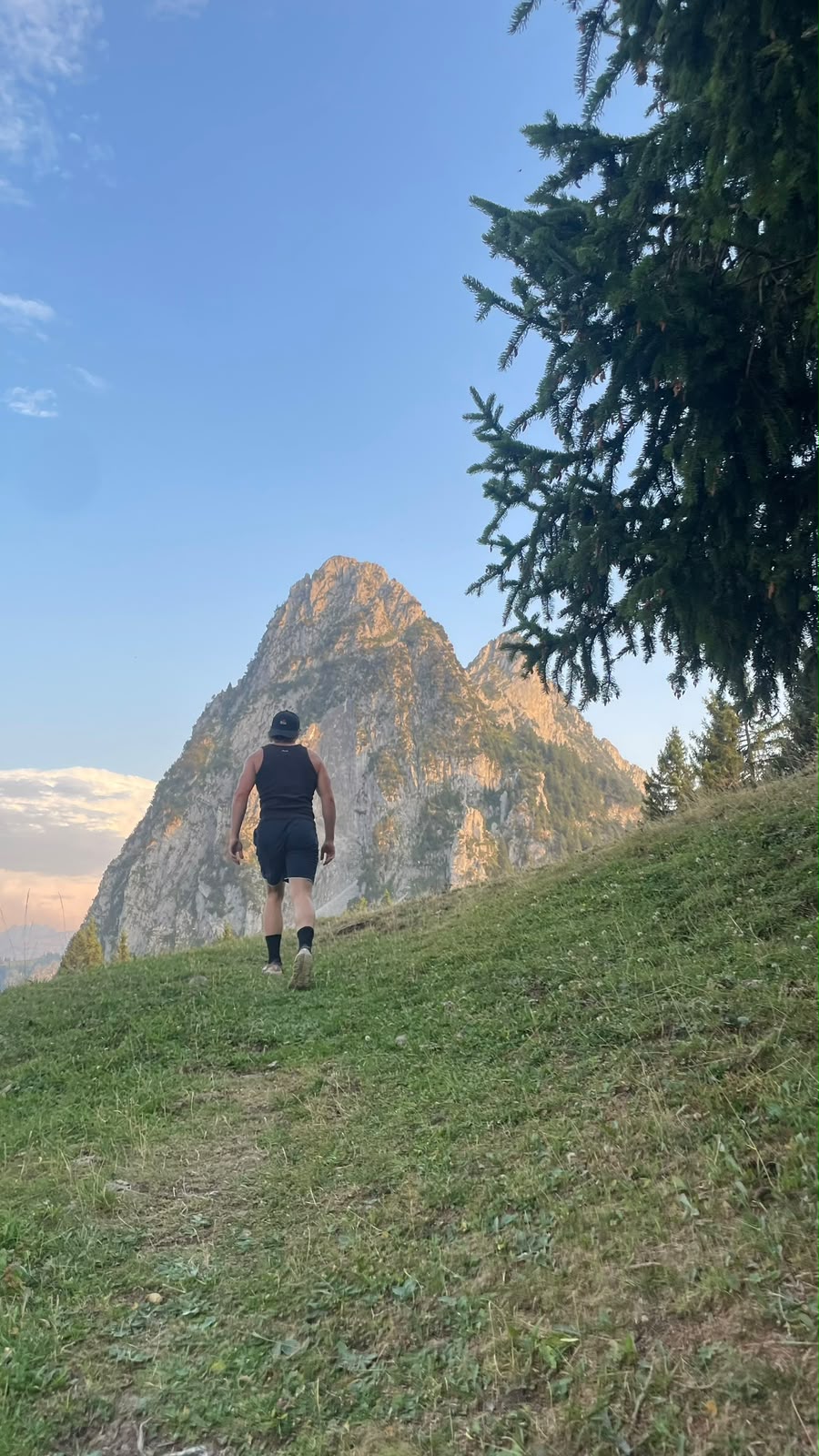 Amos auf einem Bergweg vor einer Bergkulisse